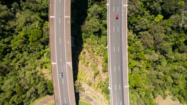 istock Highway that goes from one state to the other 981495006