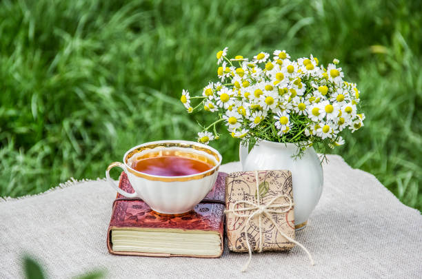 Tea cup and book. Summer picnic on the grass. Bouquet of chamomiles and gift box. Summer holiday stock photo