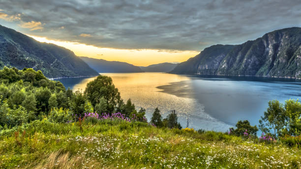 istock Aerial View over Storfjord from Stranda viewpoint 981496254