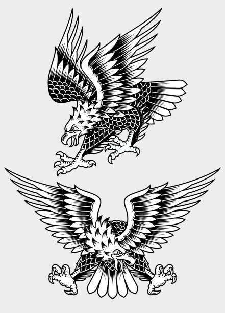 ilustraciones, imágenes clip art, dibujos animados e iconos de stock de americano screaming eagle tatuaje vector ilustración - lanzarse al suelo