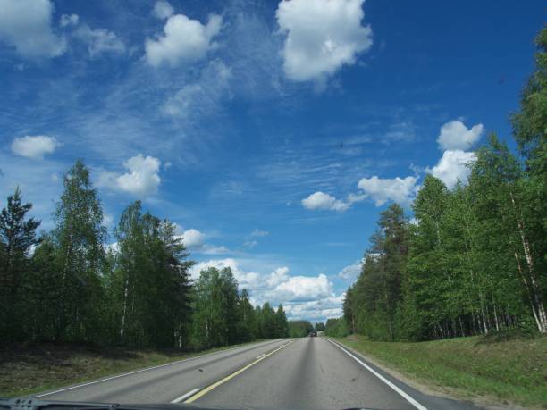 istock summer scenic road in Sweden 981508594