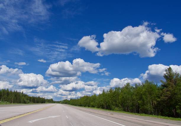 istock Summer scenic road in Sweden 981508636
