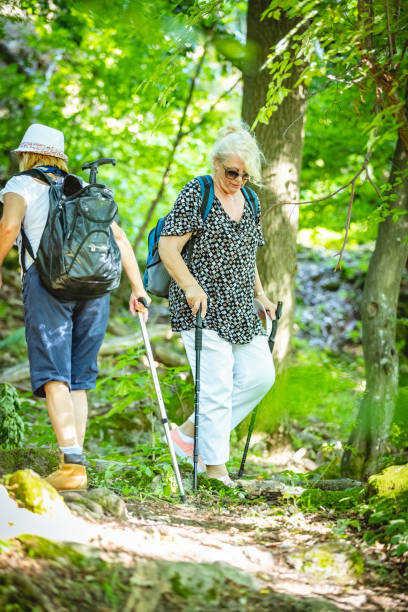 istock Seniors hiking 981511374