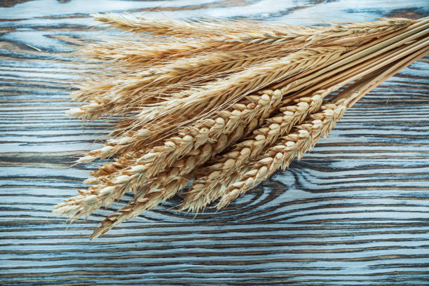 istock Rye ears on vintage wooden board 981516048