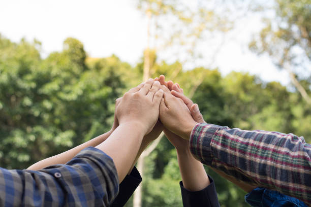 istock young business people putting their hands together. Stack of hands. Unity and teamwork concept. 981516260
