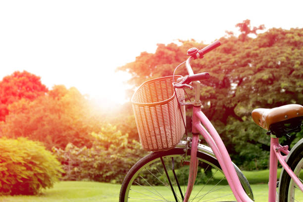 istock Bicycles in the park with burst light 981516388