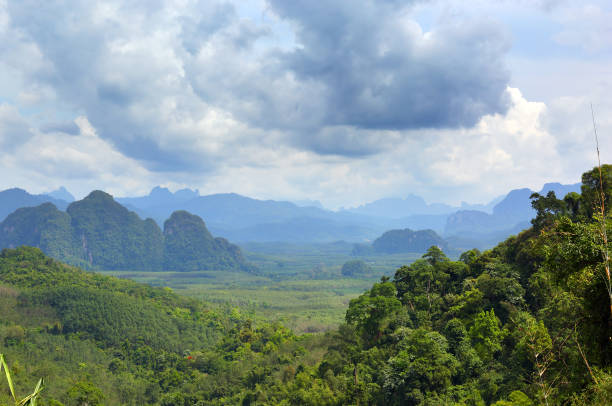 istock Khao Sok National Park 981517408