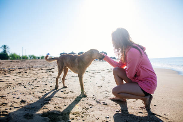 Woman playing with dog on beach