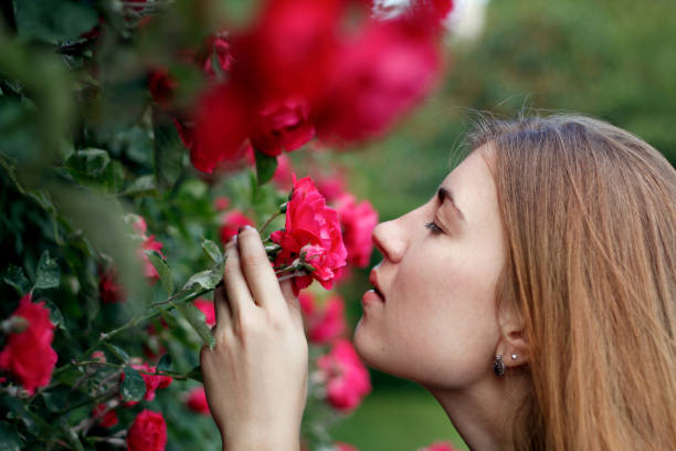 istock girl with a rose 981536846