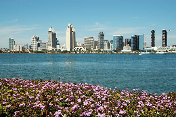 istock Bay at San Diego City Skyline 98153686