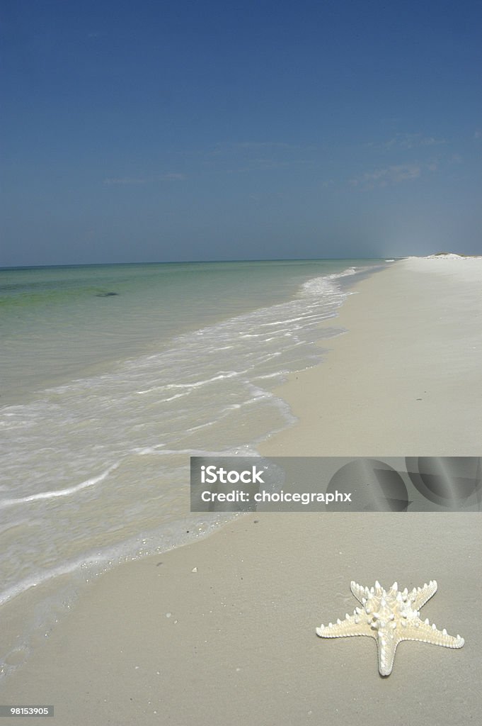 Spiaggia stella di - Foto stock royalty-free di Ambientazione esterna