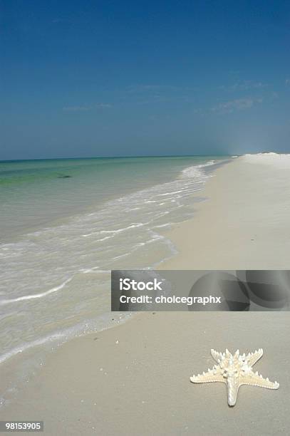 Spiaggia Stella Di - Fotografie stock e altre immagini di Ambientazione esterna - Ambientazione esterna, Ambientazione tranquilla, Animale