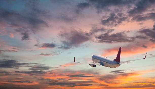 istock Commercial jet flying at sunset sky 981543304
