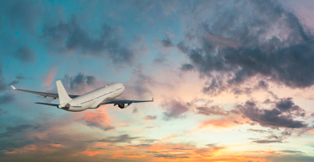 istock Commercial jet flying at sunset sky 981543326