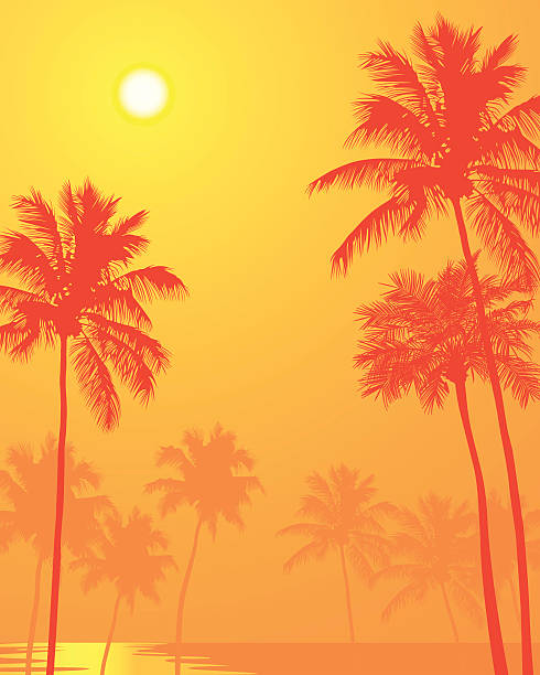 ヤシの木の暑い夏の日 - sunrise hill sea sun点のイラスト素材／クリップアート素材／マンガ素材／アイコン素材
