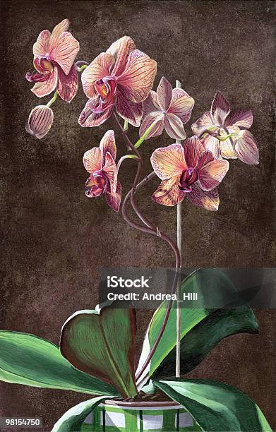 Caleidoscopio Di Orchidee Phalaenopsis Di Pittura - Immagini vettoriali stock e altre immagini di Orchidea - Orchidea, Illustrazione, Vaso da fiori