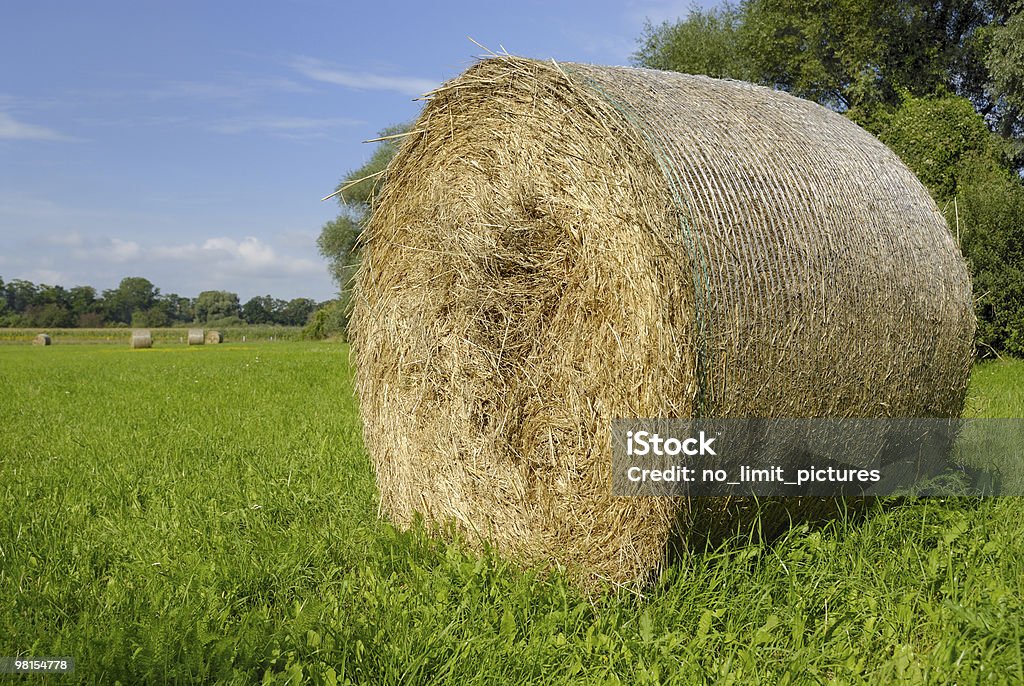 Bales of hay - series  Agricultural Field Stock Photo