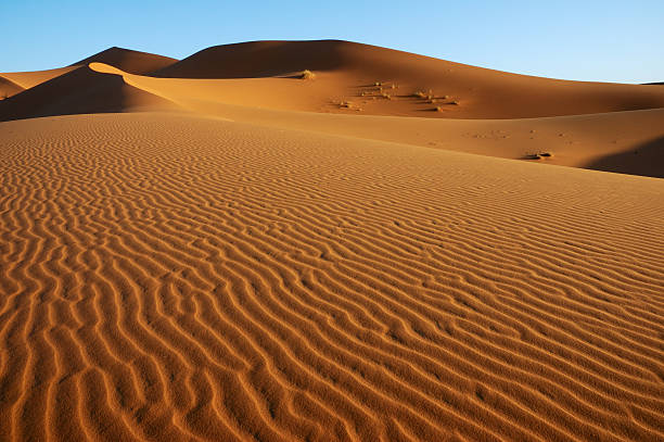 majestatyczny dune krajobraz - landscape desert wave pattern erg chebbi dunes zdjęcia i obrazy z banku zdjęć