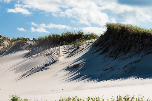 Dunes on the island of Borkum, Germany