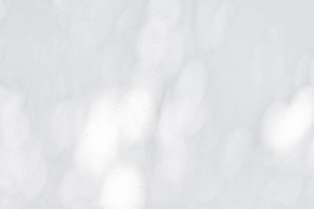 Shadow Of Leaves Reflected On The White Wall