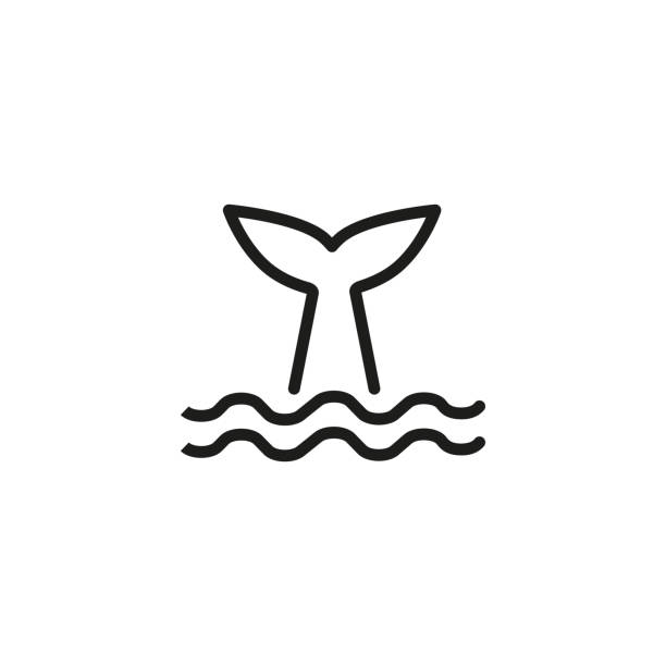 Whale tale line icon Whale tale line icon. Animal, cachalot, mammal. Conservation concept. Vector illustration can be used for topics like wildlife, ocean, ecosystem whale tale stock illustrations