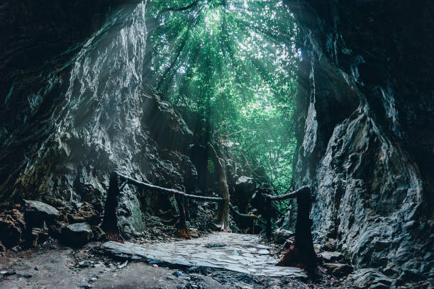 istock Light at the end of the tunnel 981577296
