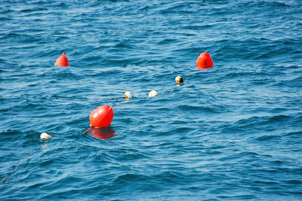 Red bouys hanging to dry