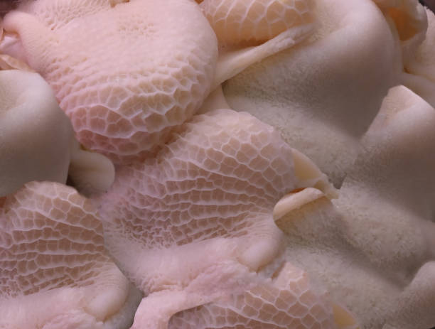 istock Tripe on Display at Barcelona Market Spain 981586744