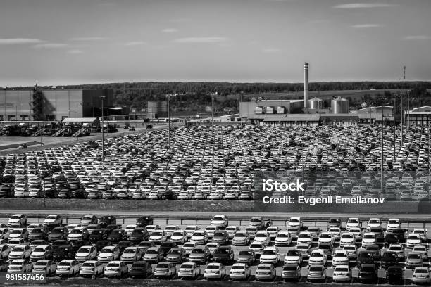 รถใหม่จอดอยู่ที่ศูนย์กระจายสินค้า ภาพสต็อก - ดาวน์โหลดรูปภาพตอนนี้ - Volkswagen, กลุ่มวัตถุขนาดใหญ่ - กลุ่ม, การขนส่ง - หัวข้อ