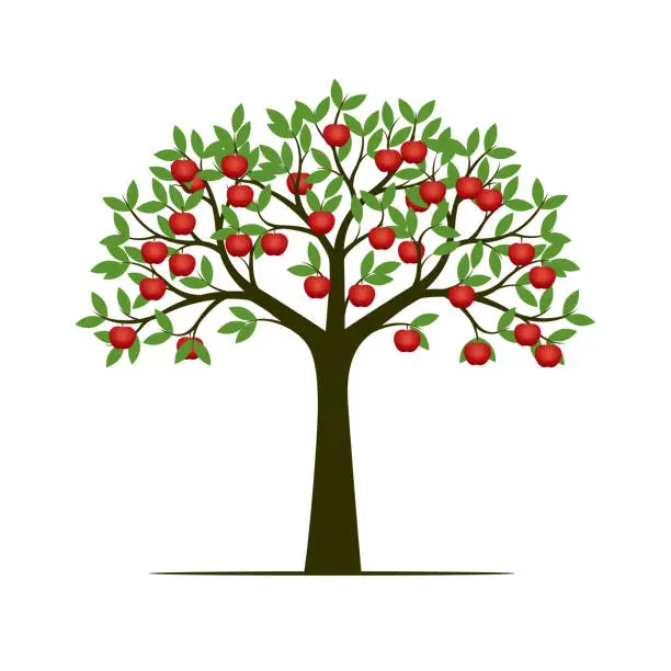 Vector illustration of Green spring tree and red apples. Vector Illustration.