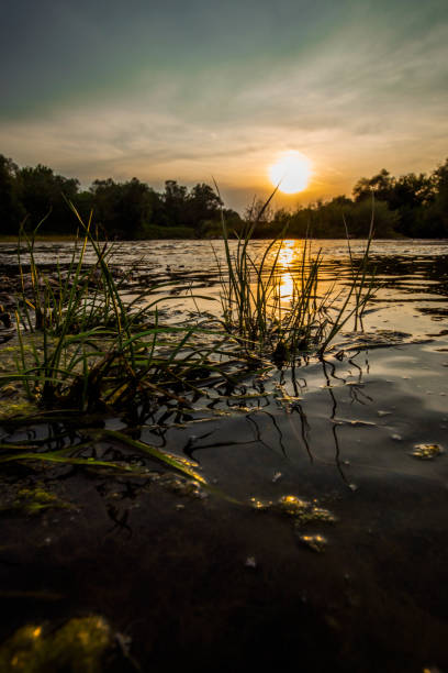 istock Beautiful Sunset. Valley river natural landscape view 981592726