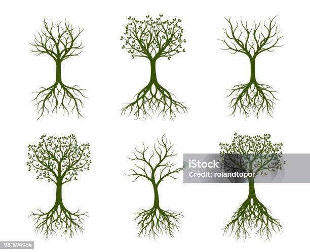 Set Of Green Trees Vector Illustrations And Graphic Elements Garden And Plants Stock Illustration - Download Image Now