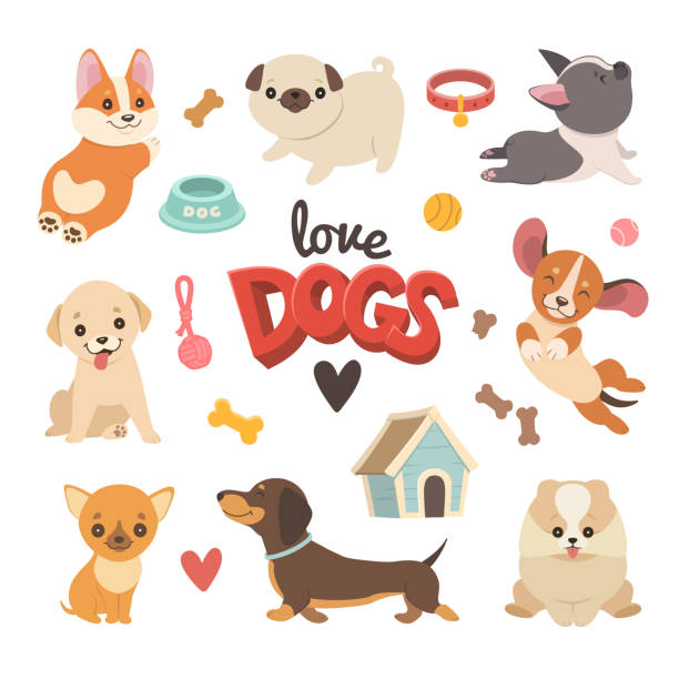 Puppies collection. Vector illustration of cute cartoon different breeds dogs, such as Corgi, French Bulldog, pug, Beagle, Labrador, Chihuahua and Dachshund. Isolated on white. puppy stock illustrations