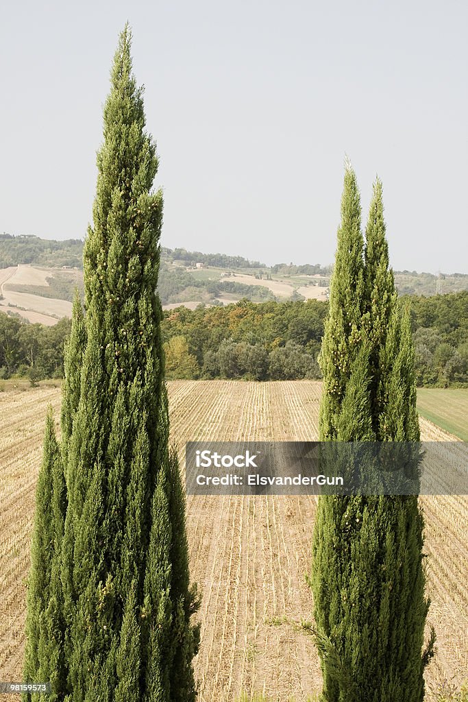 Пейзаж в Тоскане - Стоковые фото Без людей роялти-фри