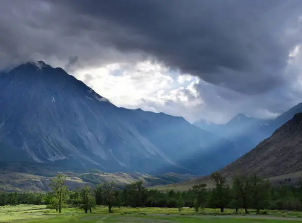 Sun shining into a mountain valley with trees on a meadow