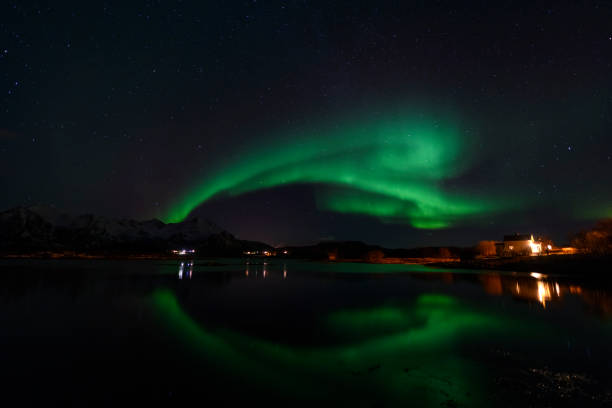 istock Northern Lights, Aurora Borealis over Northern Norway during winter 981599272