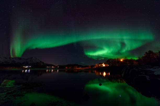 istock Northern Lights, Aurora Borealis over Northern Norway during winter 981599722