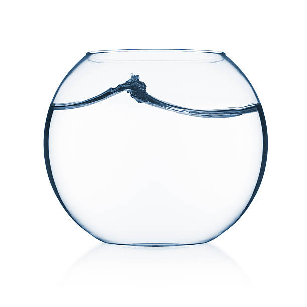 istock Wave in a Fisbowl 98160506