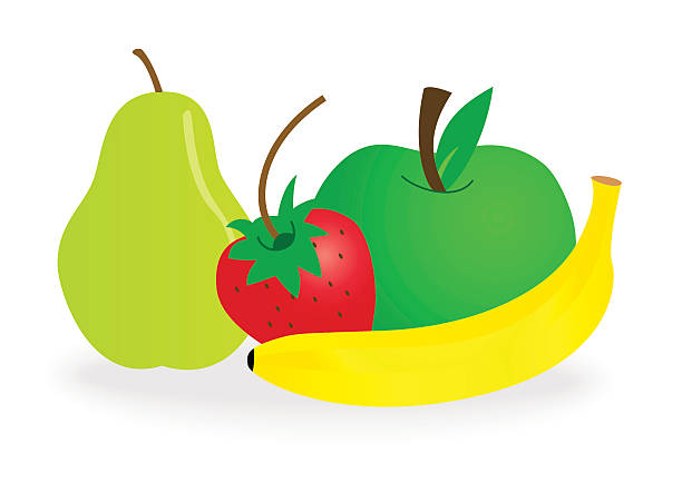 fruits vector art illustration