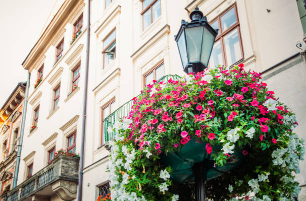 morning promenade in Lviv city centre