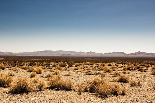 Death Valley in the desert, cloudless sky and blue sky.
