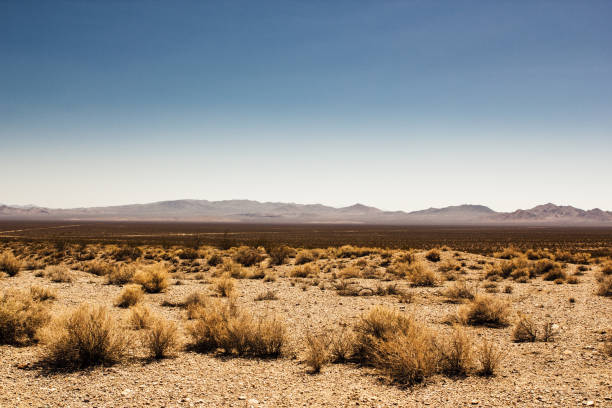 Deserted Death Valley in the desert Death Valley in the desert, cloudless sky and blue sky. horizon photos stock pictures, royalty-free photos & images