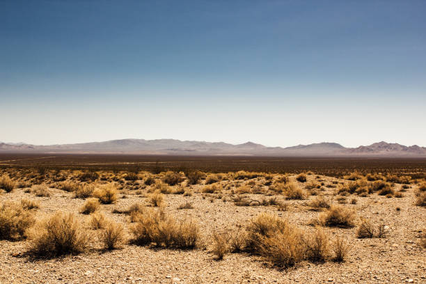 Deserted Death Valley in the desert Death Valley in the desert, cloudless sky and blue sky. death valley desert photos stock pictures, royalty-free photos & images