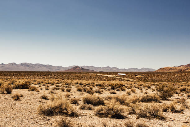 istock Death Valley Cabin in the Desert 981617376
