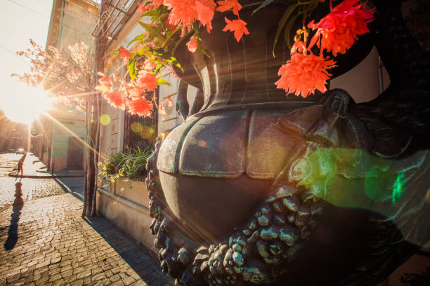 morning promenade in Lviv city centre