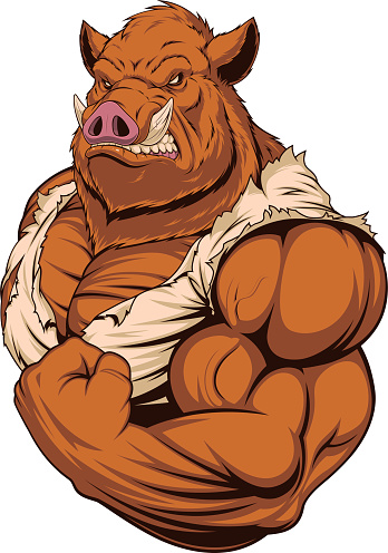 Strong ferocious boar
