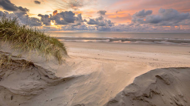 istock Dune View on North Sea 981631594