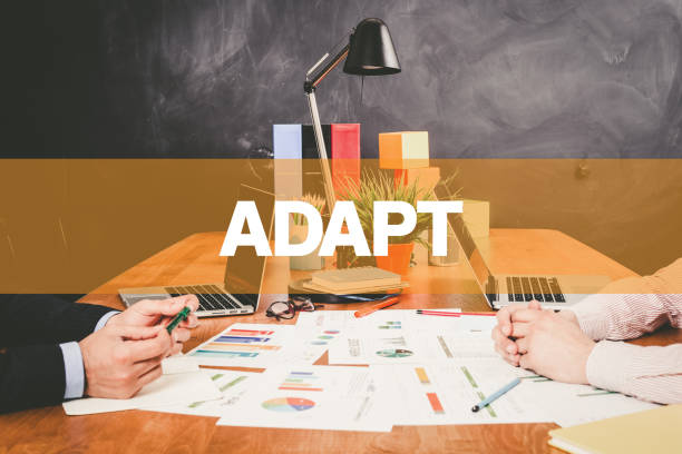 istock Two Businessman Adapt working in an office 981631818