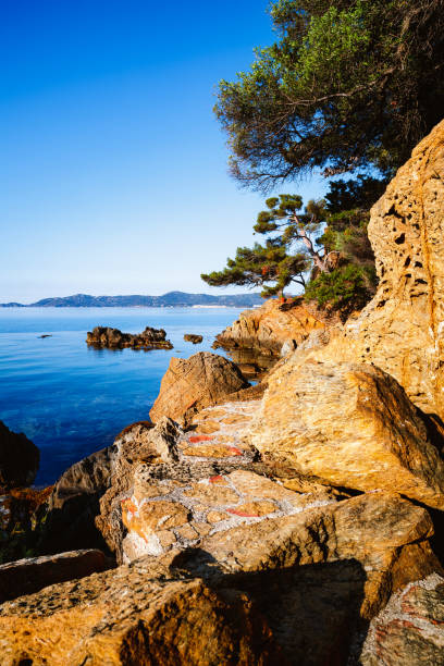 Rocky seashore of the Provence coast of France.