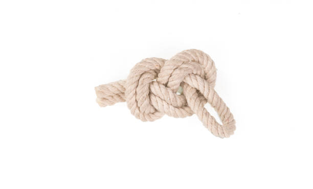 istock sea rope knot on white isolated background 981634294